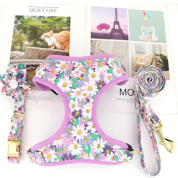 Beirui Cute Girl Dog Collars, Harnesses & Leash Set - Adjustable - Picture 6 of 7